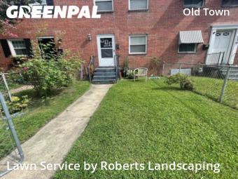 Yard Cutting nearby Alexandria, VA, 