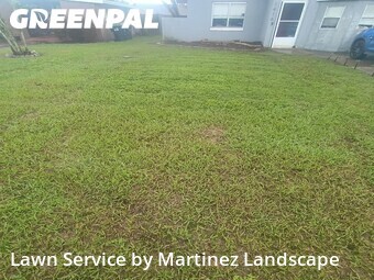 Grass Cut nearby Orlando, FL, 