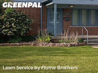 Lawn Care nearby Roseville, MI, 