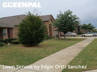 Lawn Care Service nearby Sachse, TX, 