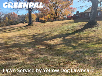 Lawn Cut nearby Mt. Juliet, TN, 