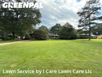 Yard Cutting nearby Vestavia Hills, AL, 