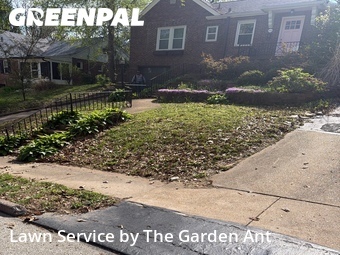 Yard Cutting nearby Webster Groves, MO, 