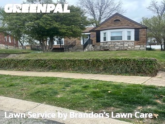 Lawn Cut nearby Affton, MO, 
