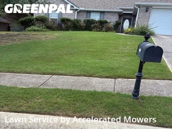 Landscaping Maintenance In Birmingham,35244,Landscaping Renovation by Accelerated Mowers , work completed in Jun , 2026