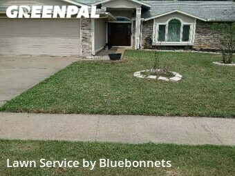 Lawn Service nearby Cedar Park, TX, 