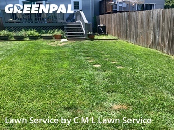 Yard Cutting nearby Abingdon, MD, 