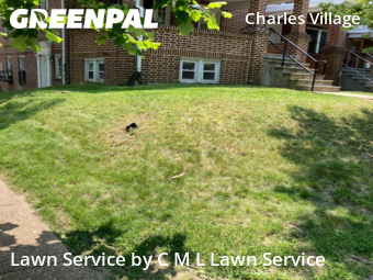 Grass Cut nearby Baltimore, MD, 