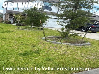 Yard Cutting nearby Conroe, TX, 