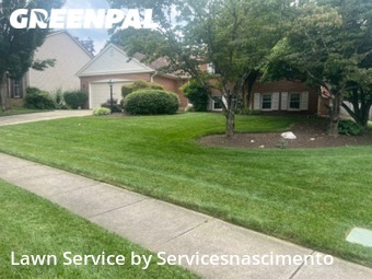 Yard Cutting nearby Fairfax, VA, 