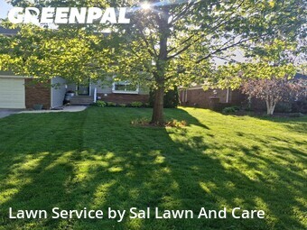 Lawn Care nearby Hammond, IN, 