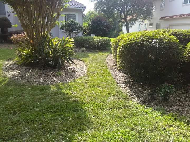 Order Lawn Care in Montverde, WA, 98418