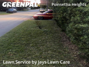 Grass Cutting nearby Fort Lauderdale, FL, 