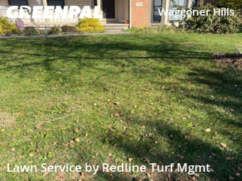 Grass Services in Reynoldsburg, 43068, Weed Trimming by Redline Turf Mgmt, work completed in Nov , 2025