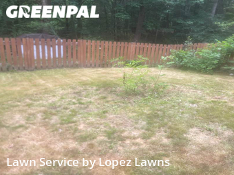 Lawn Maintenance nearby Kent, WA, 