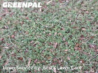 Lawn Mowing nearby Fort Lauderdale, FL, 