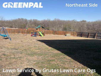 Yard Cutting nearby Converse, TX, 