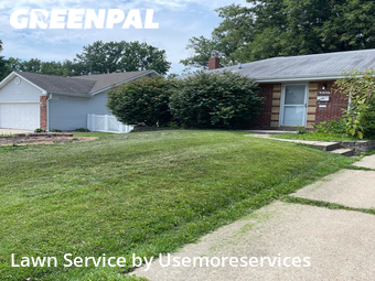 Grass Cutting nearby Affton, MO, 