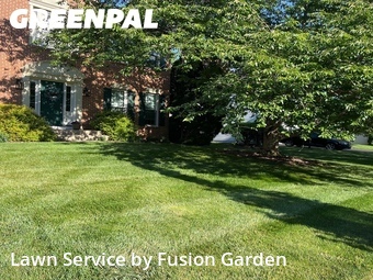 Grass Cut nearby Damascus, MD, 