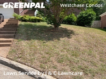 Lawn Cut nearby Nashville, TN, 