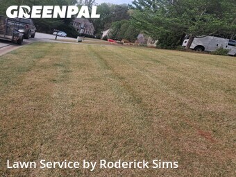 Lawn Mowing Service nearby Hoschton, GA, 
