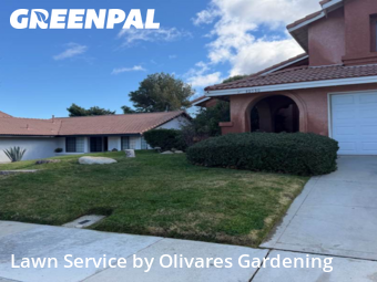 local-lawn-care-services-in-Los Angeles-CA