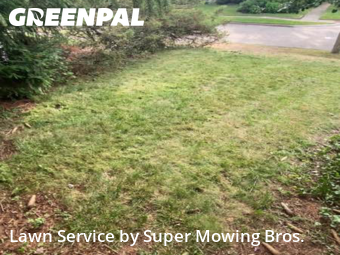 Lawn Care Service nearby East Lansing, MI, 
