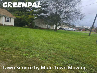 Yard Work in Chapel Hill, 37034, Property Maintenance by Mule Town Mowing , work completed in Nov , 2025