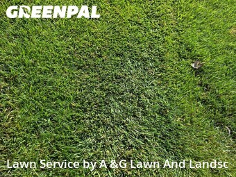 Lawn Maintenance nearby Cincinnati, OH, 