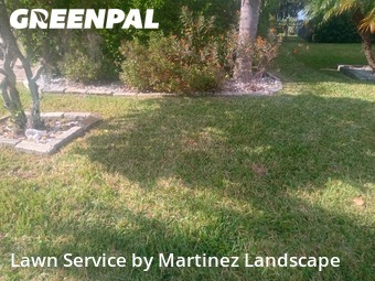 Yard Cutting in Tavares, 32778, Property Maintenance by Martinez Landscape, work completed in Nov , 2025