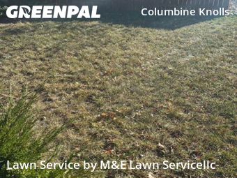 Yard Care in Littleton, 80128, Lawn Services by M&E Lawn Servicellc, work completed in Dec , 2025