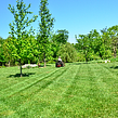 cheap-lawn-cutting-businesses-in-Spokane-WA