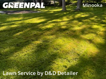 Yard Grooming in Scranton, 18505, Yard Upkeep by D&D Detailer , work completed in Nov , 2025