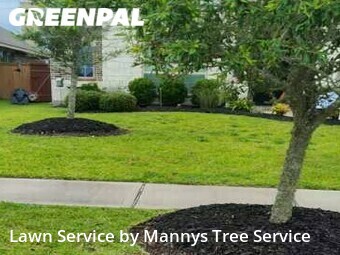 Yard Mowing nearby League City, TX, 