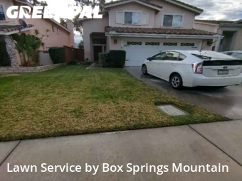 Lawn Cut nearby Riverside, CA, 