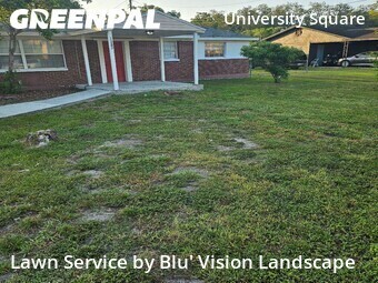 Lawn Cut nearby Tampa, FL, 