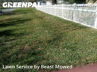 Lawn Cut nearby Tampa, FL, 