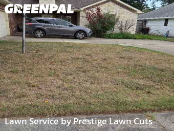 Lawn Cut nearby Spring, TX, 
