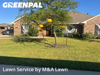 Lawn Servicein League City,77573,Grass Cut by M&A Lawn, work completed in Jan , 2026