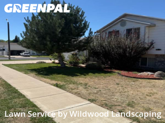 Lawn Upkeep in Roy, 84067, Grass Services by Wildwood Landscaping , work completed in Nov , 2025