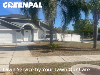 Grass Cut nearby Kissimmee, FL, 