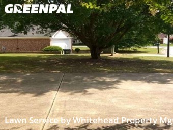 Lawn Care nearby Phenix City, GA, 
