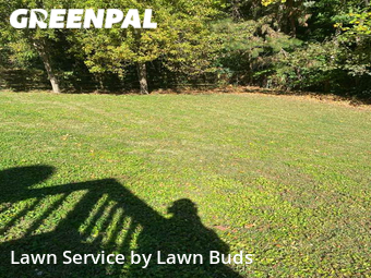 Lawn Cut nearby Charlotte, NC, 