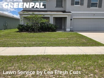 Grass Cutting nearby Ocala, FL, 