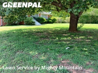 Grass Cutting nearby Maryville, TN, 