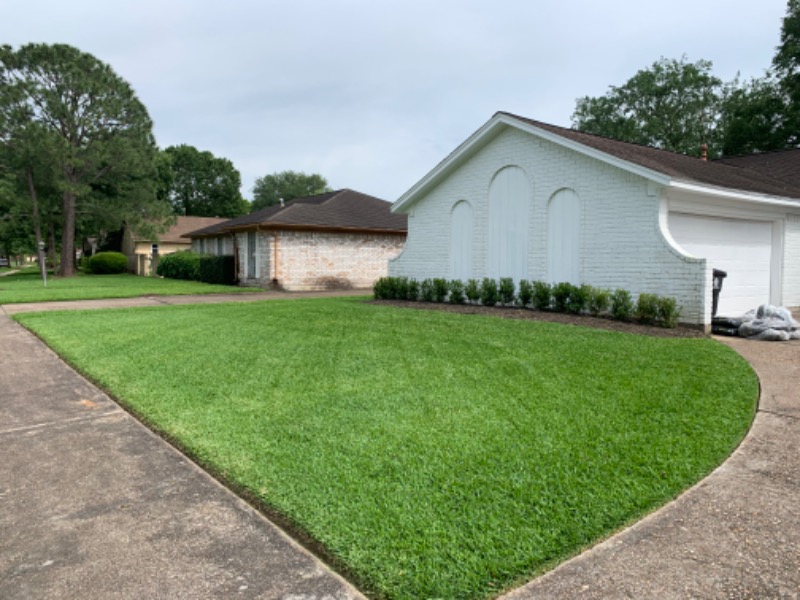 Houston Yard Cutters Lawn Care Services in Houston, TX