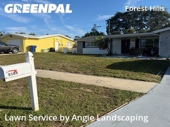 Yard Cutting nearby Holiday, FL, 