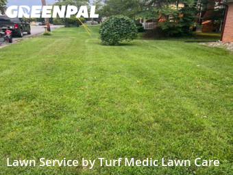 Yard Cutting nearby Roanoke, VA, 