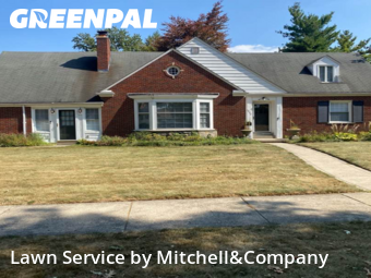 Grass Cutting in Dearborn, 48128, Grass Cutting by Mitchell&Company, work completed in Nov , 2025