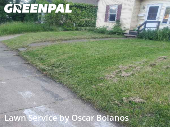 Lawn Care Service nearby Binghamton, NY, 